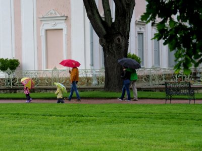 Expected rain 