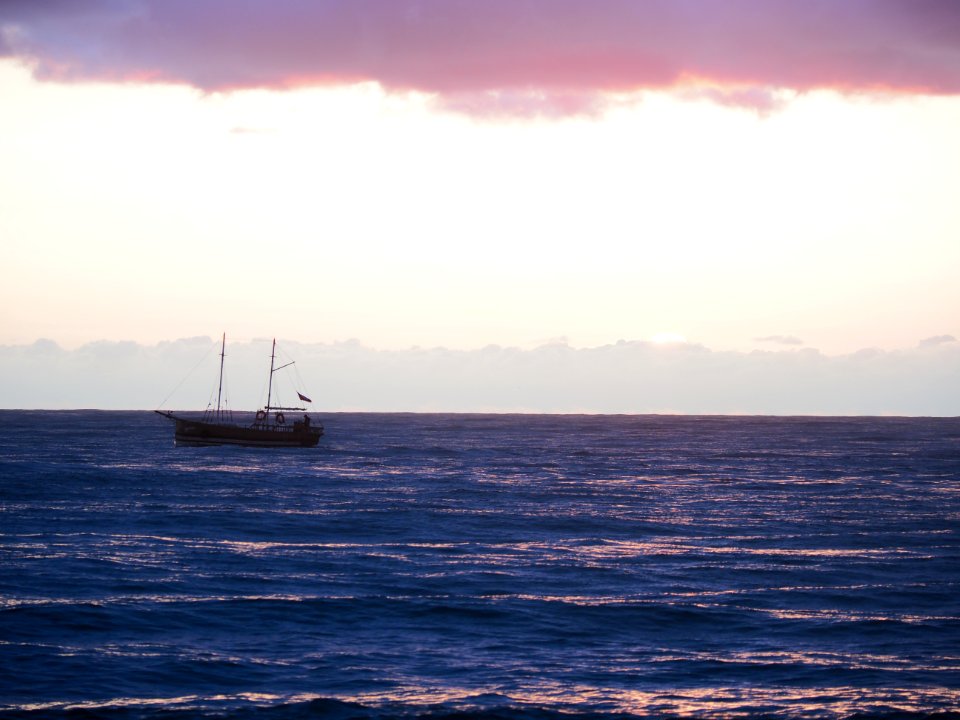 Sail away 