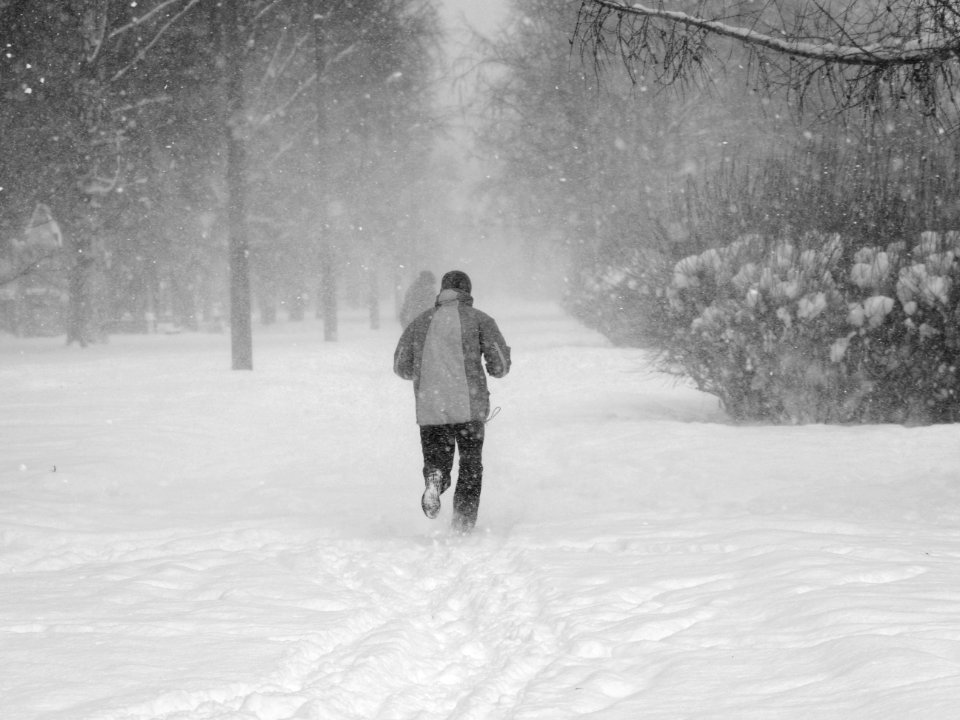 Running away from cold 