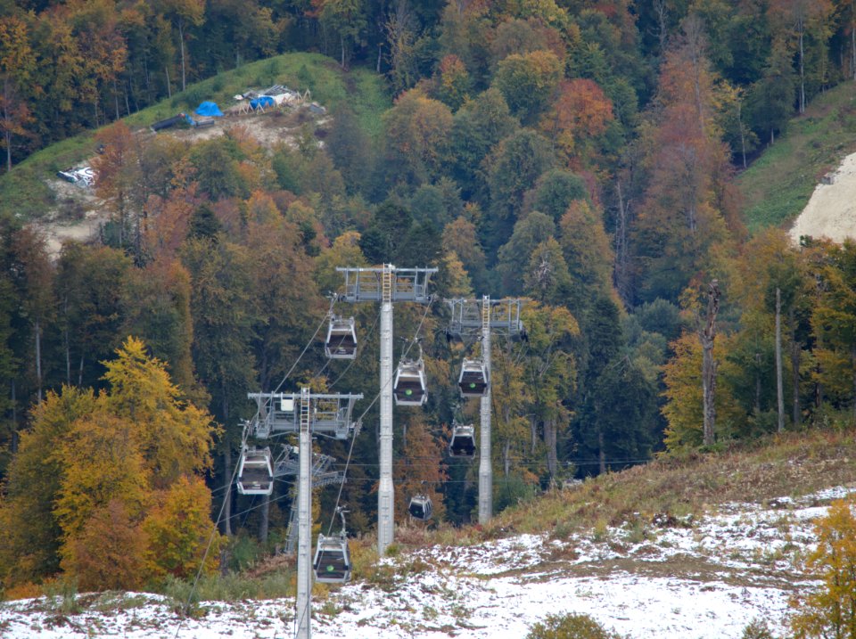 Dead season 