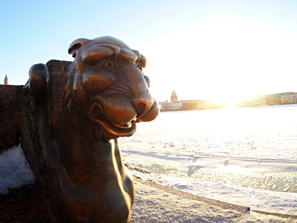 Frozen Griphon welcomes the Sun 