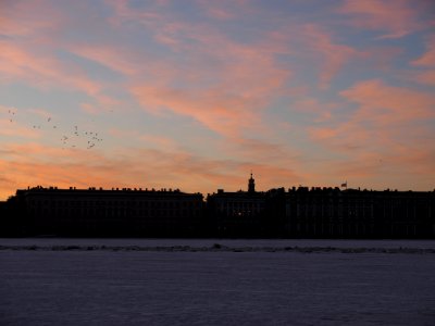 Birds to the east 