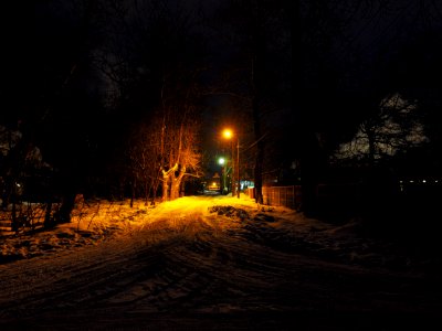 Winter evening photo