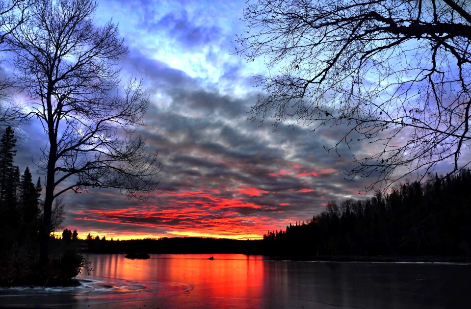 Lake trees contrast photo