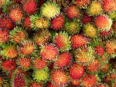 Fruit market healthy photo