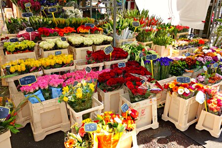 Bouquet bunch market photo