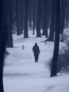 Walking dog 