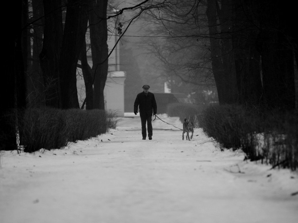 A man and a dog. And a little fog. 