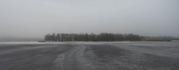 Foggy island 
