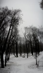 Park side 