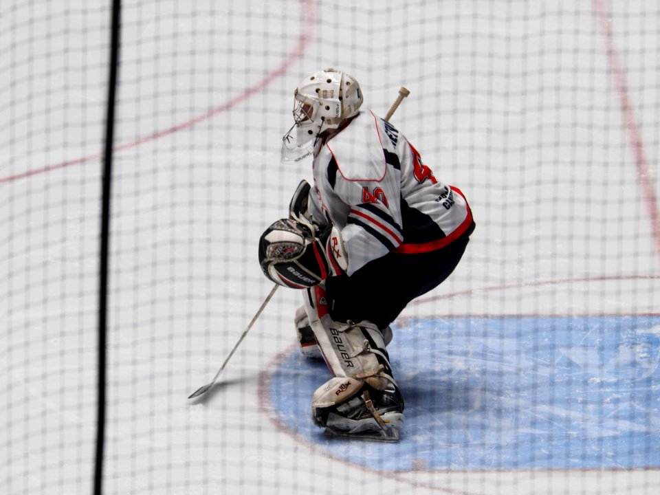 The goal keeper 
