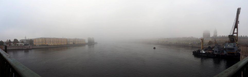 Foggy morning photo
