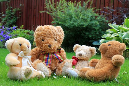 Cute fur childhood