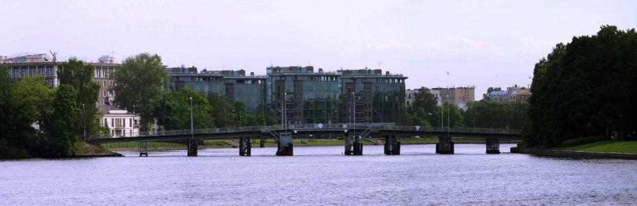 The bridge photo