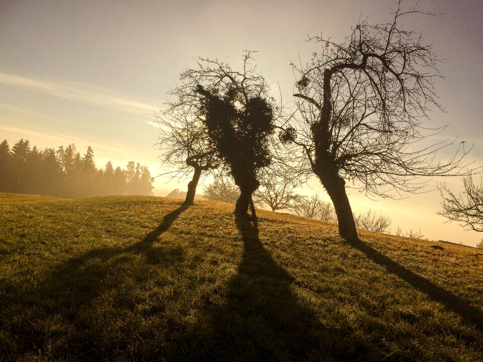Backlighting landscape nature