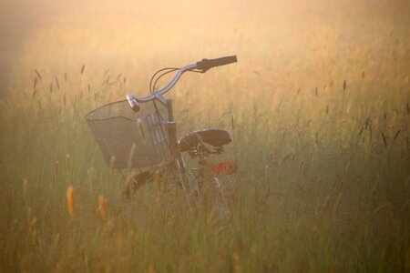 Light mood nature