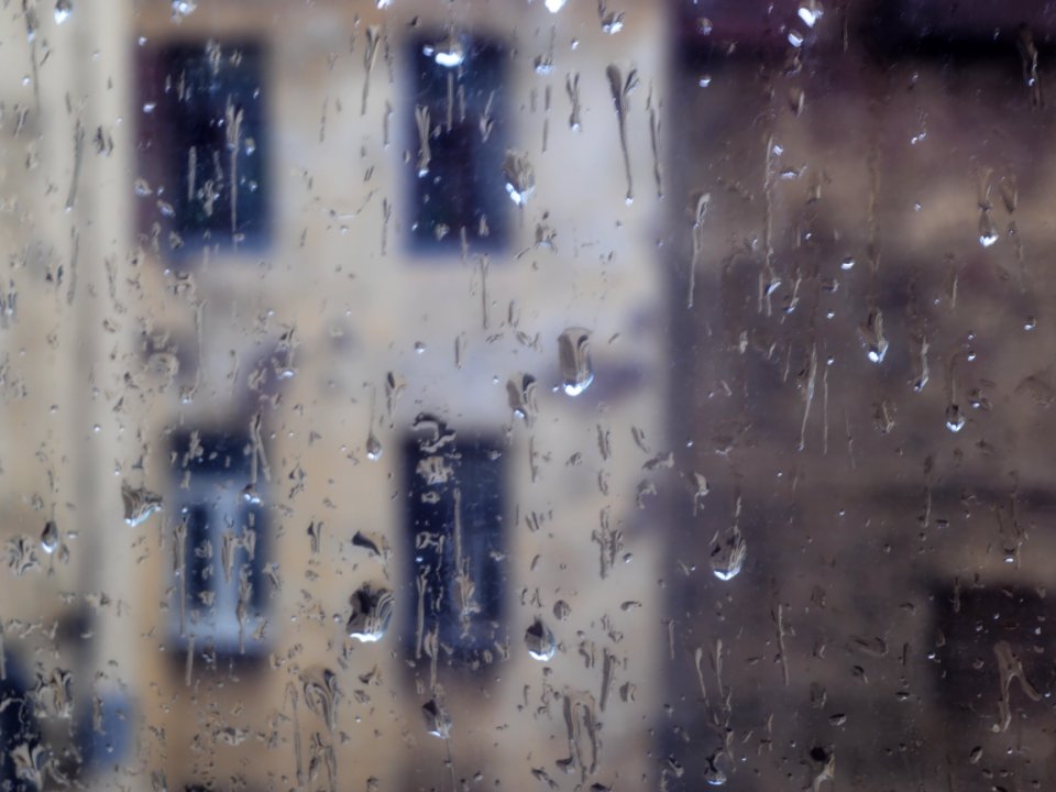 Rainy 