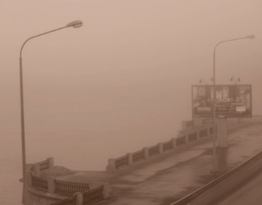 The mist photo