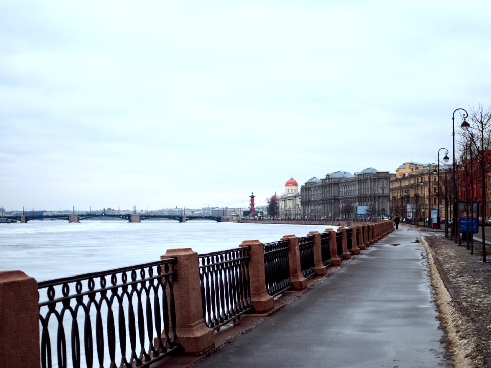 The fence 