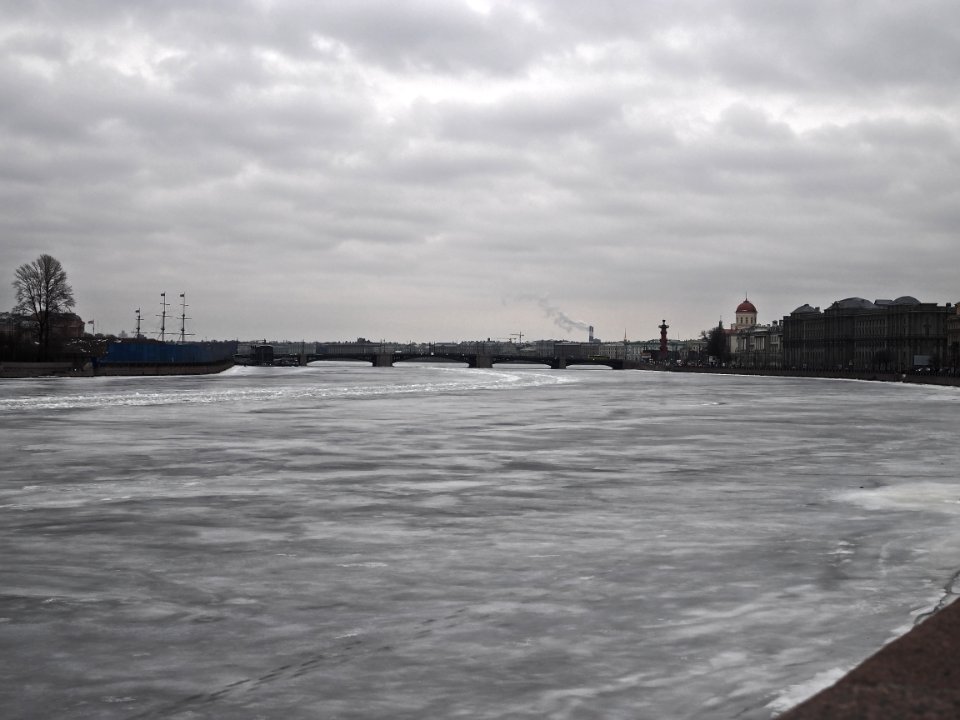 Gray day 