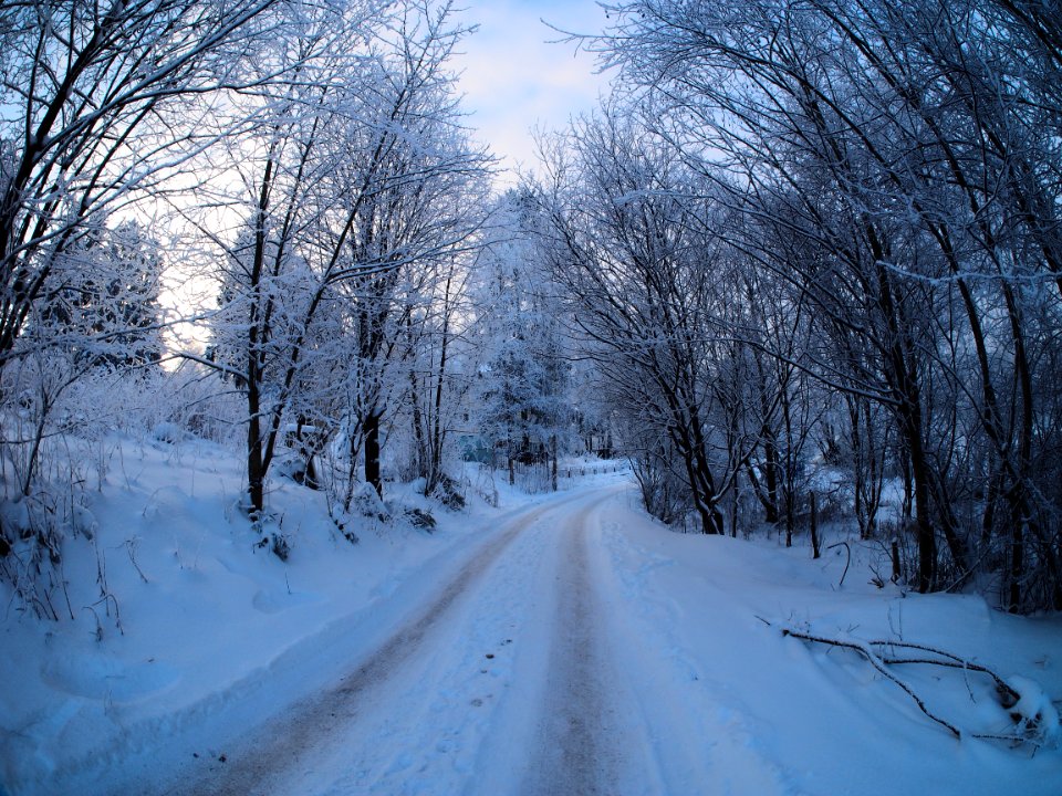 Winter road photo