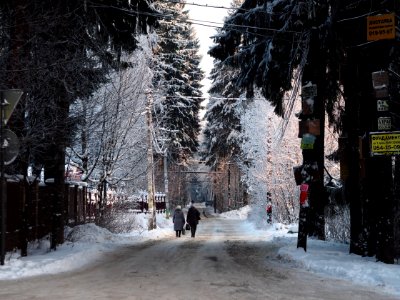 Winter streets photo
