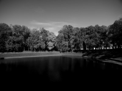 Pool in the Letniy sad 