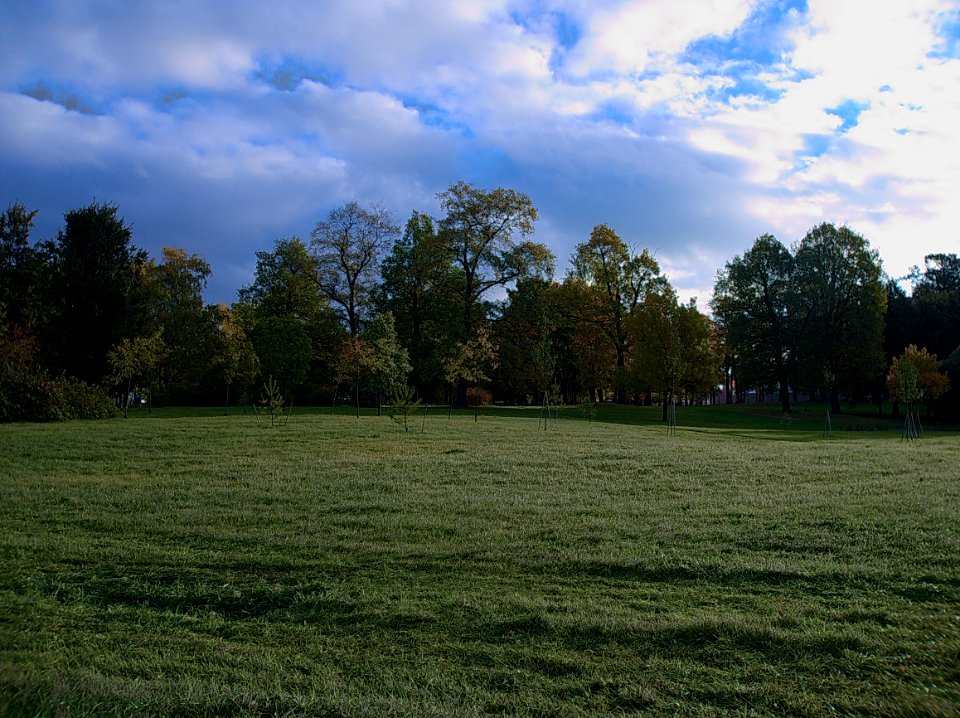 Lawn 