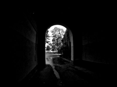 Through the darkness photo