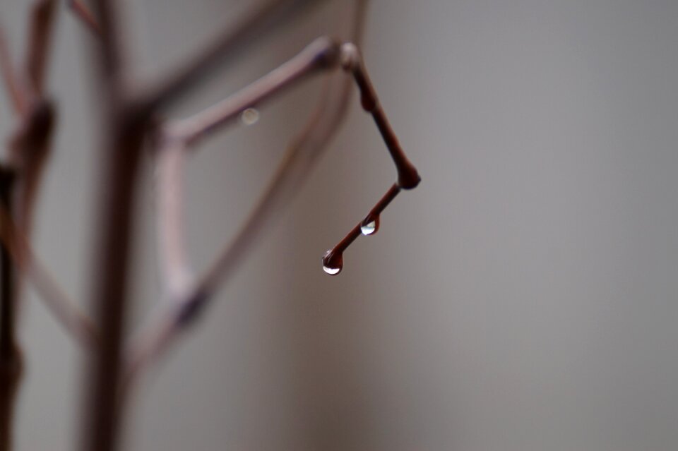 Non nature raindrops