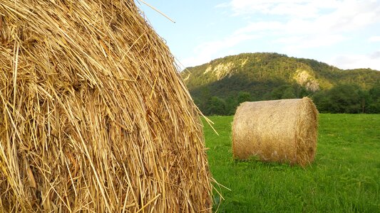 Round bales harvest landscape