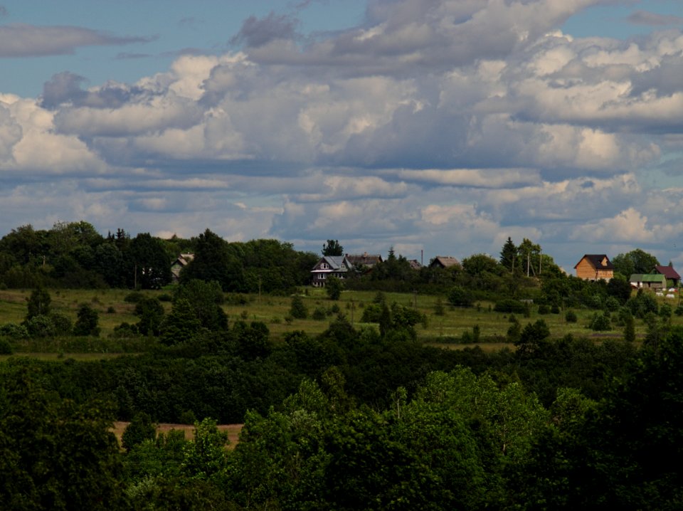 Зелено 