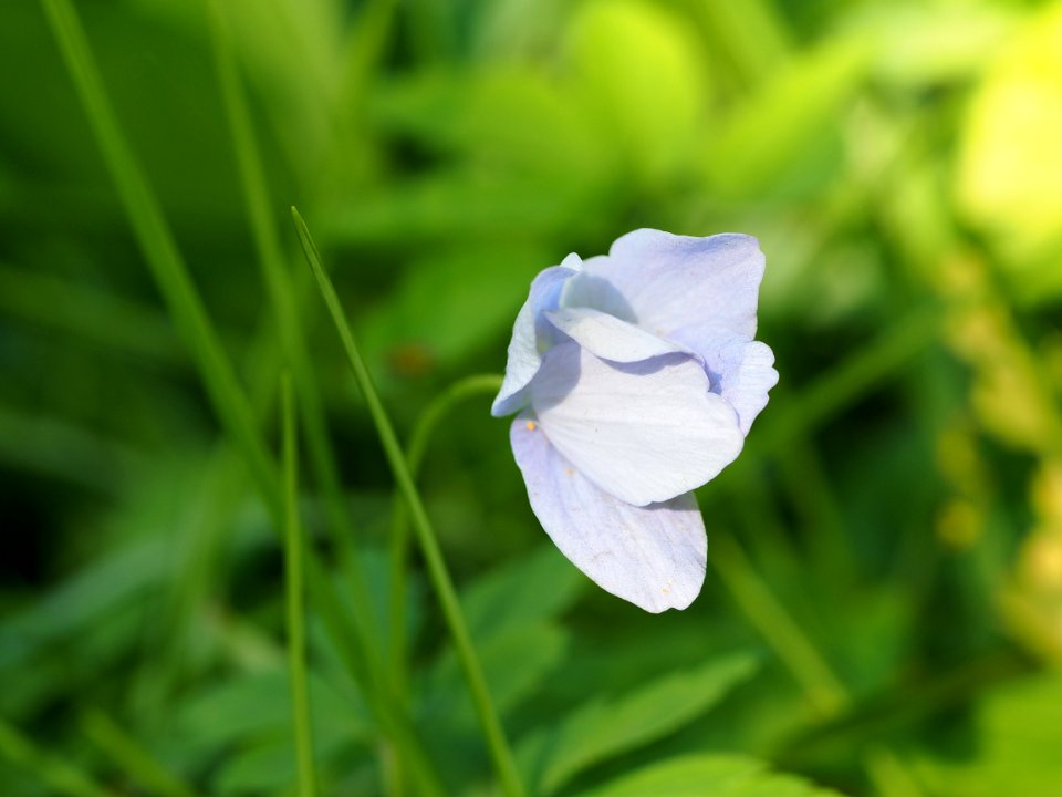 2015-05-30 - 18-34-57 