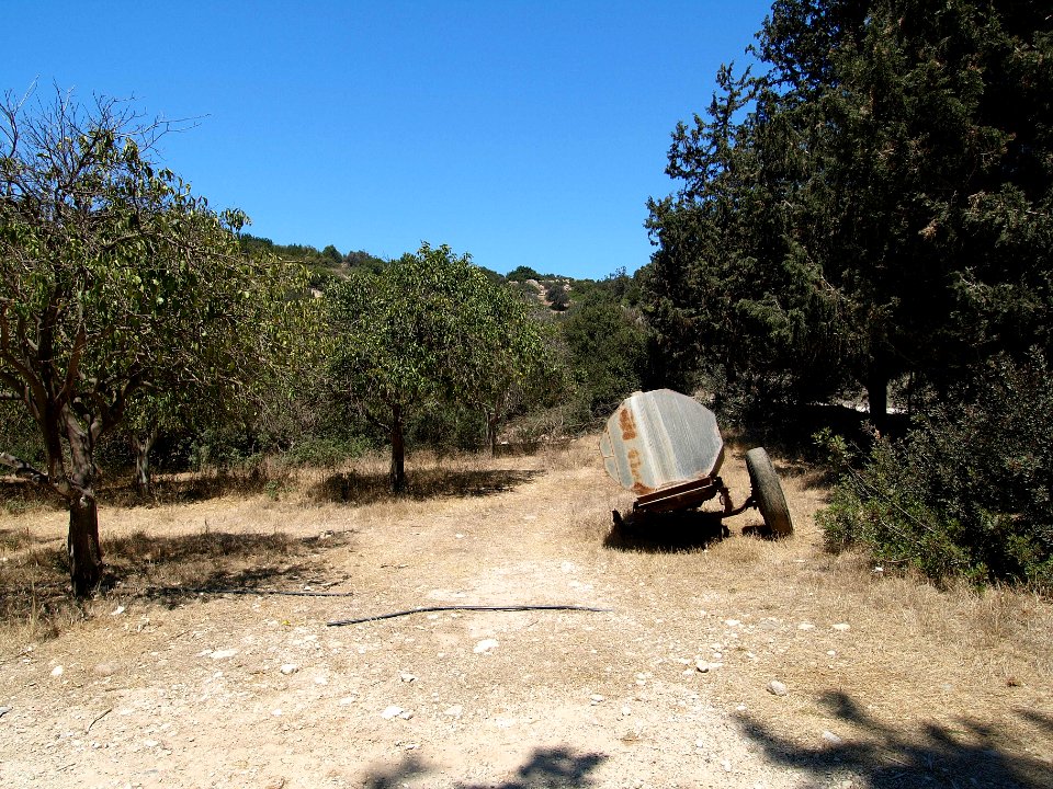Old garden near Akamas 