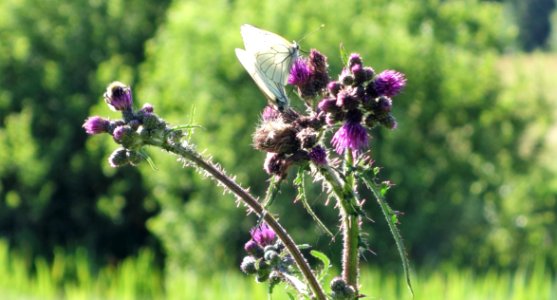 DSC05980 
