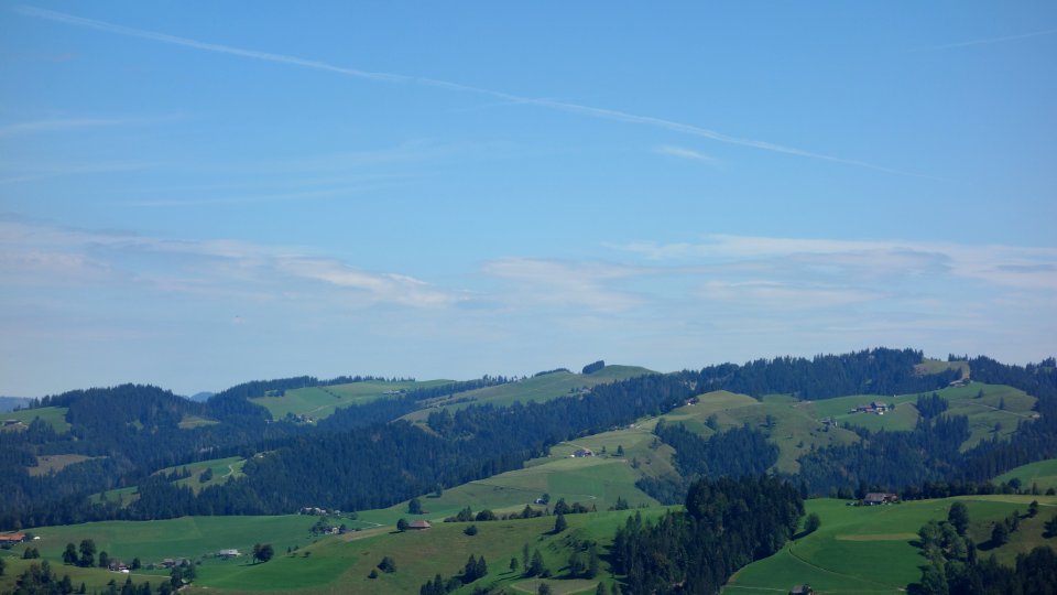 DSC06299 