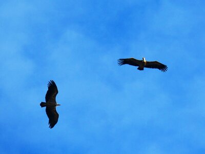 Fly priorat montsant photo