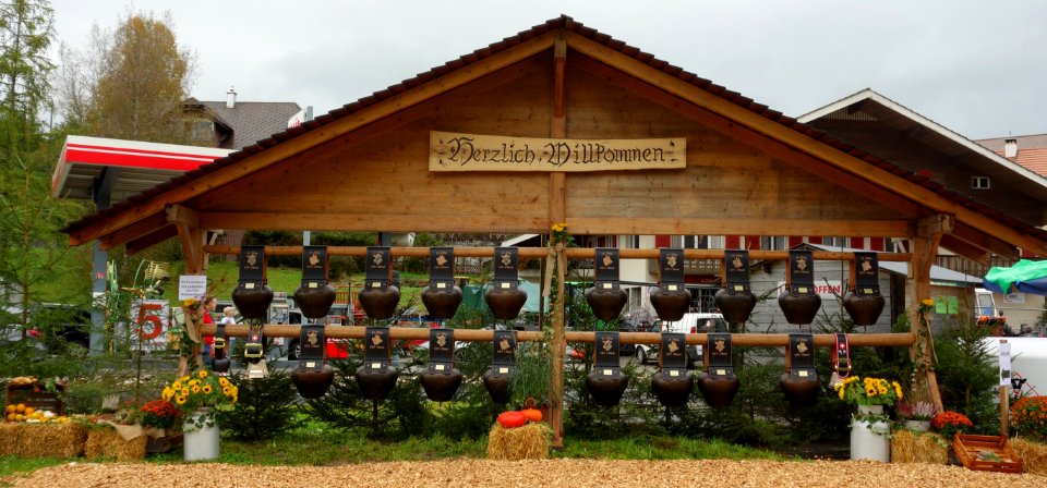 DSC07235 