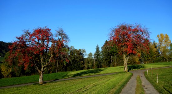 DSC04448 