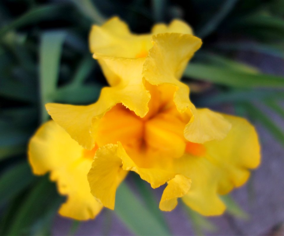 DSC01734 