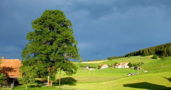 DSC01643 