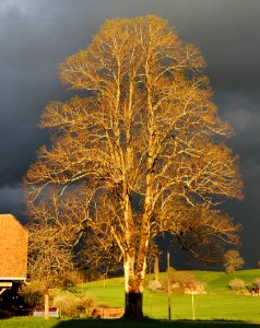 DSC01105 