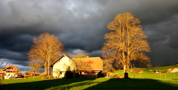 DSC01104 
