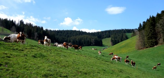 DSC01052 