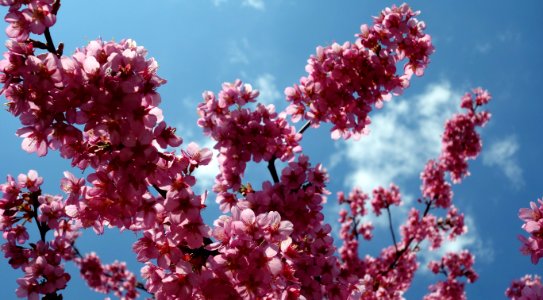 DSC01044 