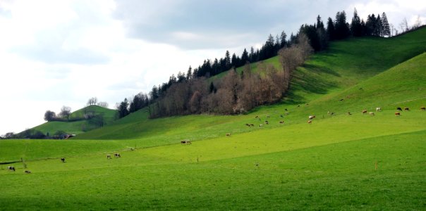 DSC01040 