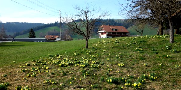 DSC00832 