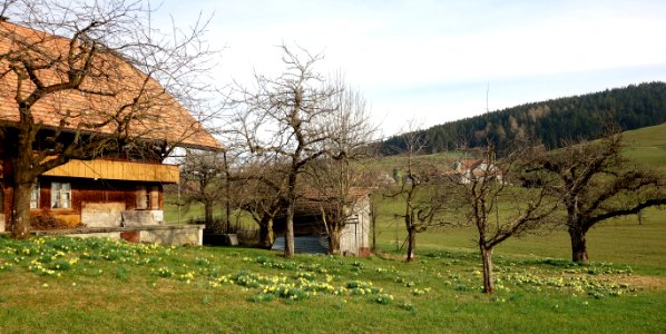 DSC00835 