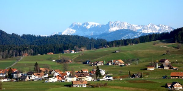 DSC00795 