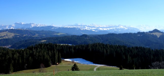 DSC00793 